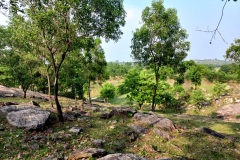 around-ajodhya