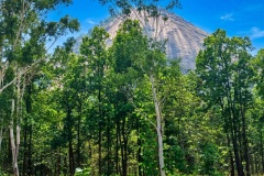 pakhi-pahar