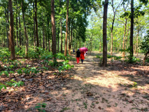 ajodhya pahar forest hiking